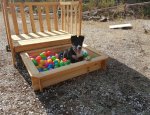 CLUB CANIN DU REVEST 83200