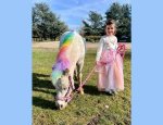 Photo CERCLE HIPPIQUE D'OLIVET