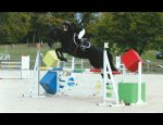 CERCLE HIPPIQUE D'OLIVET 45160