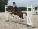 EARL SAINT VALAY EQUITATION Taden