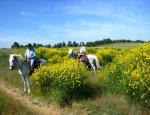 LA BALLADE DU VAL DE  CENTRE DE TOURISME ÉQUESTRE Goudargues