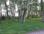 CAMPING DES ETANGS DE MARSALIN Vert-en-Drouais