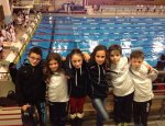ALBI NATATION 81000