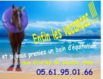 LES ECURIES DE SAINT ANNE Saint-Gaudens