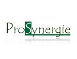 PROSYNERGIE 86510