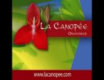LA CANOPÉE 29470