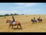 Photo PONEY CLUB DU MOULIN
