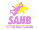 SELESTAT ALSACE HANDBALL 67600