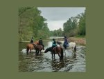 Photo EQUI_GYM CENTRE EQUESTRE