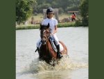 Photo BESSY EQUITATION