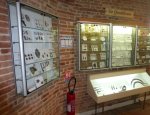 MUSEE ARCHEOLOGIQUE DE VILLARIES - ARAV 31380