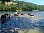 LA FERME EQUESTRE DE ST LAURENT 71800