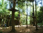 FOREST ADVENTURE Saint-Sauveur-le-Vicomte