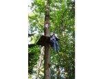 Photo FOREST ADVENTURE