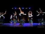 ASSOCIATION AL GOLPE - FLAMENCO Rennes