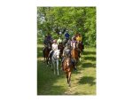 HARAS DU BOIS MARIE Saint-Macaire-du-Bois