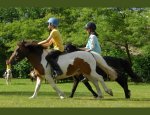Photo HARAS DU BOIS MARIE