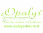 Photo OPALYS
