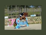 CENTRE EQUESTRE LE CEDRE 82000