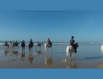 Photo CENTRE EQUESTRE LA CRAVACHE DE TRELISSAC