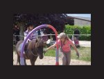 CENTRE EQUESTRE LA PALOMBE 33910