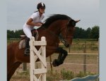 Photo CENTRE EQUESTRE LA PALOMBE