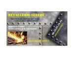 MÉTALLERIE SÉVÈRE 35450