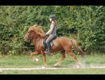 ECURIE DES SOURCES (CHEVAUX ISLANDAIS) 25330