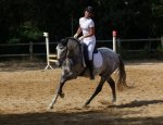 Photo CENTRE EQUESTRE D'AVIGNON