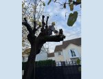 TWIN PAYSAGE Presles-en-Brie