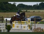 ASSOC SPORTS ÉQUESTRES DU VIADUC/ECURIE DES TANNERIES Chaumont