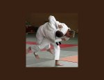 JUDO CLUB CHABEUIL 26120