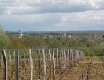 CLOS DES JOURDENNES Coutras