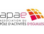 APAE 13510