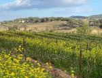 Photo DOMAINE SAINTE MARIE DES CROZES