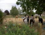 CENTRE EQUESTRE PONEY CLUB L'OXER 16110