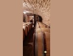 DOMAINE SAUMAIZE-MICHELIN Vergisson